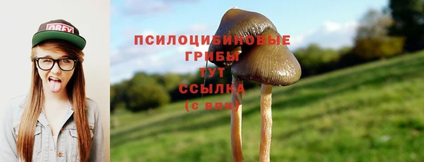 спиды Абинск