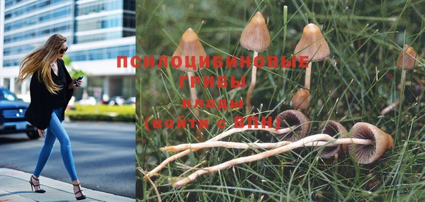 apvp Абдулино