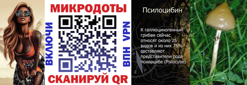 купить наркотики цена  Разумное  блэк спрут вход  Галлюциногенные грибы мицелий 